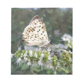 Bloc De Notas Stunning Cream and Chocolate Butterfly