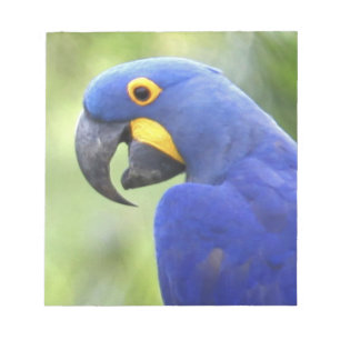 Bloc De Notas Sudamérica, Brasil, Pantanal