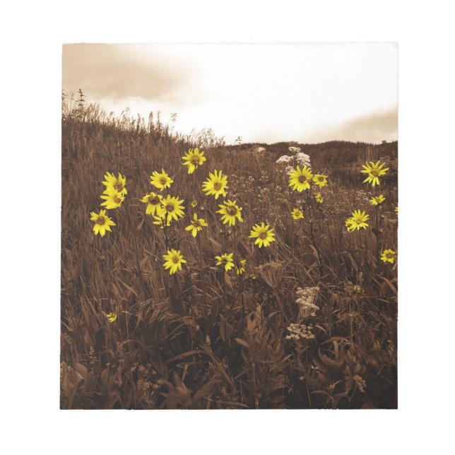Bloc De Notas Sunflower (Frente)