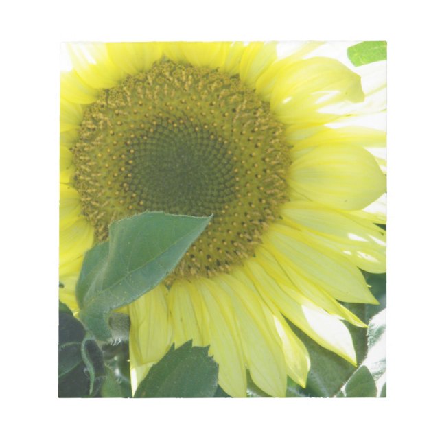 Bloc De Notas Sunlight Sunflower (Frente)