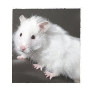 Bloc De Notas Teddy Bear Hamster