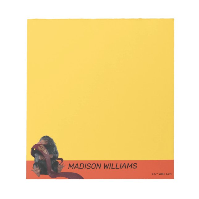 Bloc De Notas Teddy Con El Gráfico De Tie (Frente)