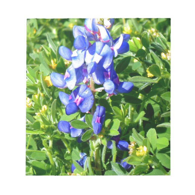 Bloc De Notas TEXAS BlueBonnet (Frente)