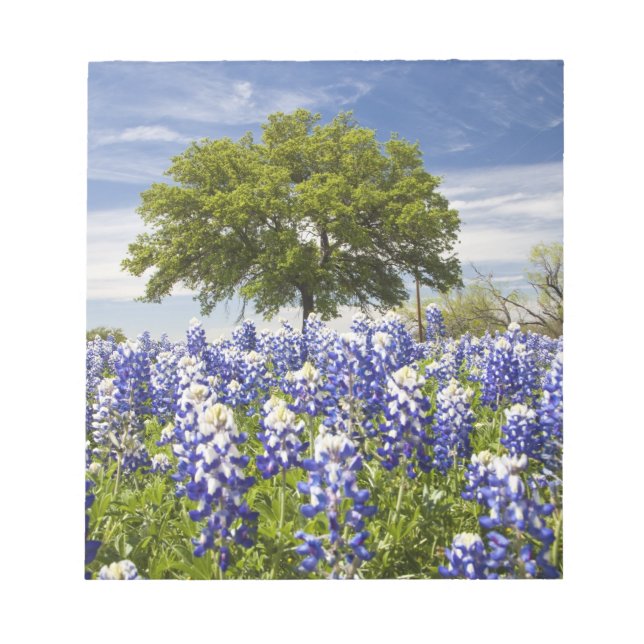 Bloc De Notas Texas bluebonnets(lupinus texensis) y roble (Frente)