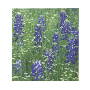 Bloc De Notas Texas, Lago Buchanan. Texas Bluebonnet y silvestre