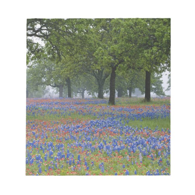Bloc De Notas Texas, Texas Hill Country, pincel de Texas y (Frente)