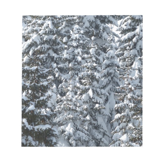 Bloc De Notas Textura de árbol de flor de nieve (Frente)