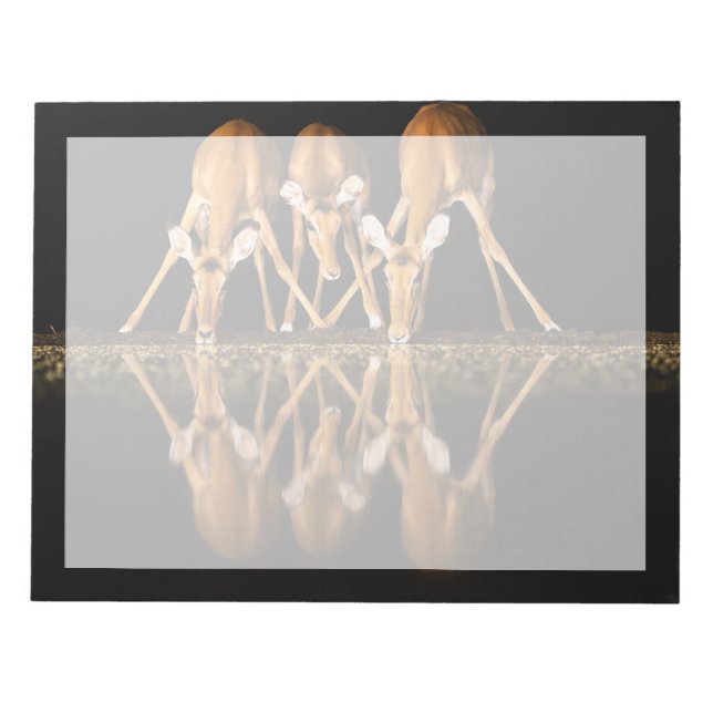 Bloc De Notas Three Impala Drink Together at Night (Frente)