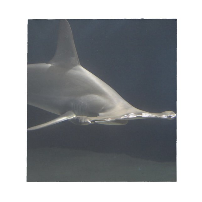 Bloc De Notas Tiburón de Hammerhead (Frente)