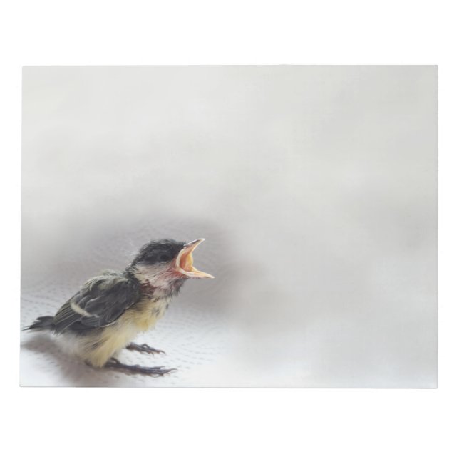 Bloc De Notas Tidi my Bird the Parus Major (Frente)