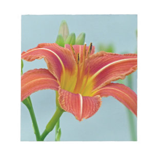 Bloc De Notas Tiger Daylily