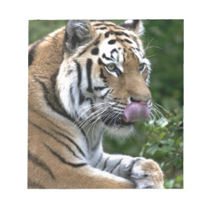 Bloc De Notas Tigre en crecimiento