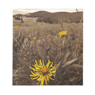 Bloc De Notas Tono sepia Flores silvestres amarillas