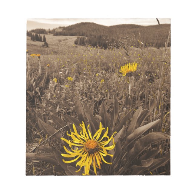 Bloc De Notas Tono sepia Flores silvestres amarillas (Frente)