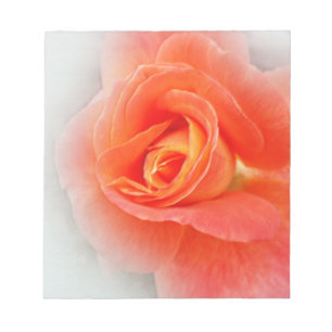 Bloc De Notas tonos rosa pastel