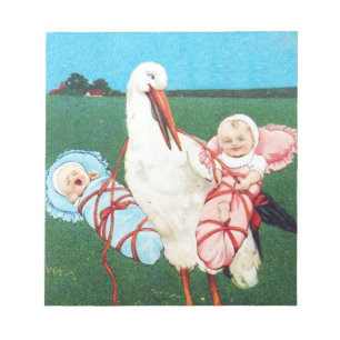 Bloc De Notas TORMENTA BABY SHOWER TWIN, rosa, azul Verde azulad