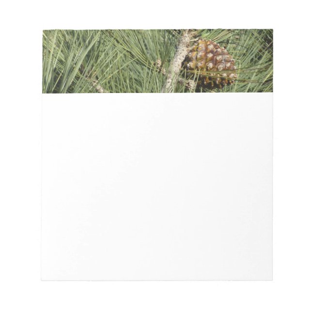 Bloc De Notas Torrey Pine Closeup California Botanical (Frente)