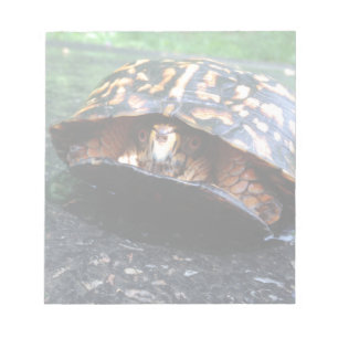 Bloc De Notas Tortuga de caja