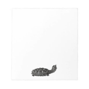 Bloc De Notas Tortuga de Mata Mata