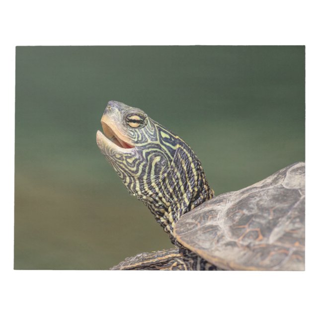 Bloc De Notas Tortuga en el río LaChute (Frente)
