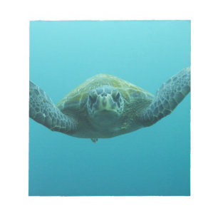 Bloc De Notas Tortuga Verde (Chelonia mydas agassisi), Central