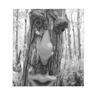 Bloc De Notas Troll de árbol en un árbol Big Cypress.