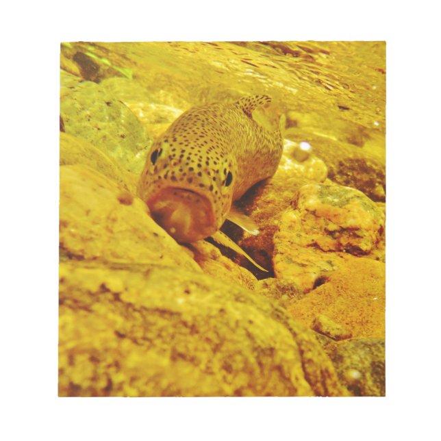 Bloc De Notas Truco en la corriente (Frente)