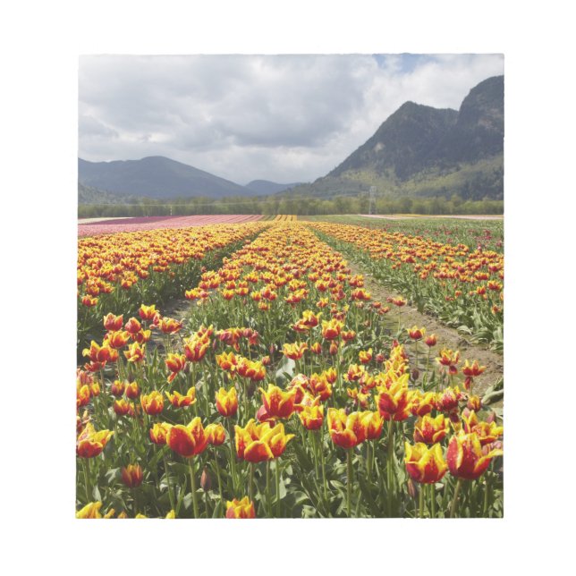 Bloc De Notas Tulip Farm cerca de Agassiz, Columbia Británica, (Frente)