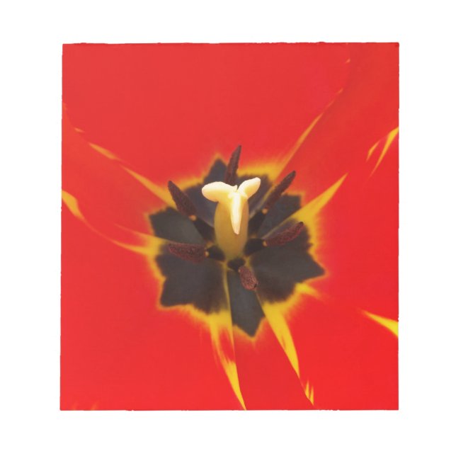 Bloc De Notas tulipán amarillo rojo (Frente)