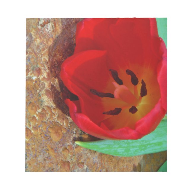 Bloc De Notas Tulipán rojo y amarillo primavera (Frente)