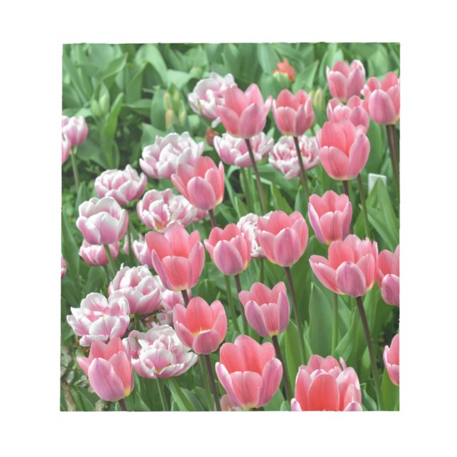 Bloc De Notas tulipanes rosados (Frente)