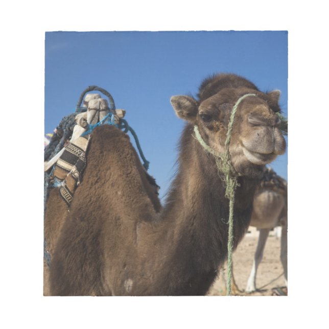 Bloc De Notas Túnez, desierto del Sahara, Douz, zona turística, (Frente)