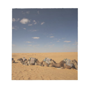 Bloc De Notas Túnez, zona de Ksour, Ksar Ghilane, Gran Erg 2