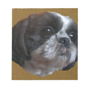 Bloc De Notas Tzu adorable Rico de Shih