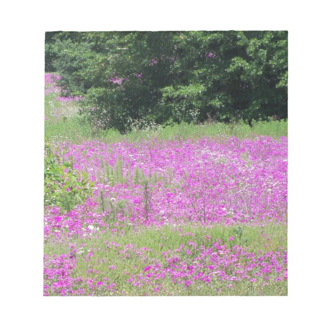 Bloc De Notas Un campo de flores silvestres rosadas de primavera (Frente)