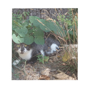 Bloc De Notas Un gato escondiéndose