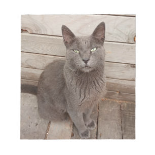Bloc De Notas Un Gato Gris Noble