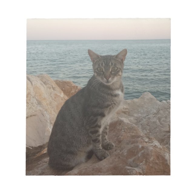 Bloc De Notas Un modelo de gato (Frente)