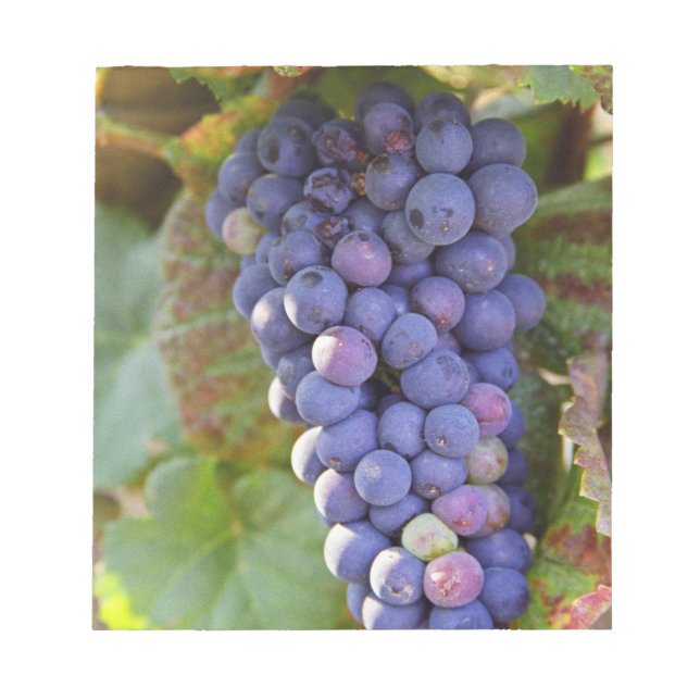 Bloc De Notas Un racimo de uvas Pinot Noir en un Chambertin (Frente)
