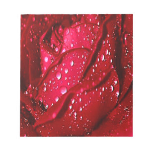 Bloc De Notas Una rosa roja en la lluvia