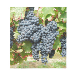 Bloc De Notas Uvas de vino de Francia