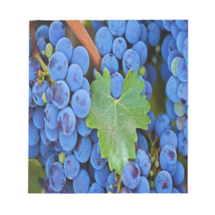 Bloc De Notas Uvas en un vino