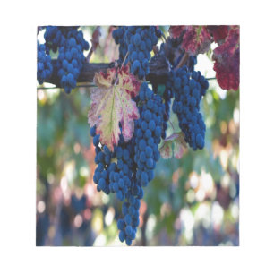 Bloc De Notas Uvas en un vino