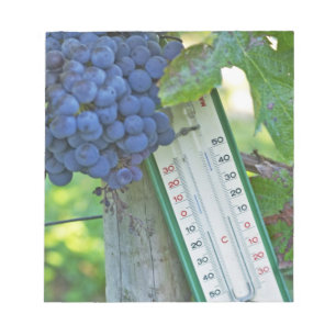 Bloc De Notas Uvas Merlot en Chateau la Grave Figeac, una