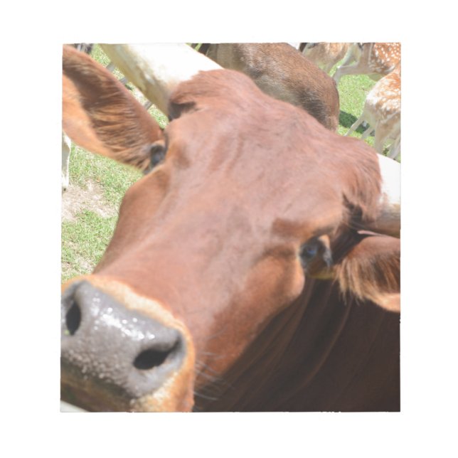 Bloc De Notas Vaca Safari Brown (Frente)