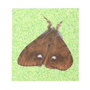 Bloc de notas Vapourer Moth
