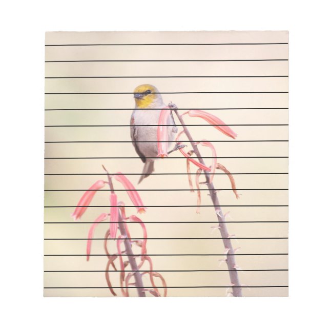 Bloc De Notas Verdin encaramado sobre pénstemo (Frente)