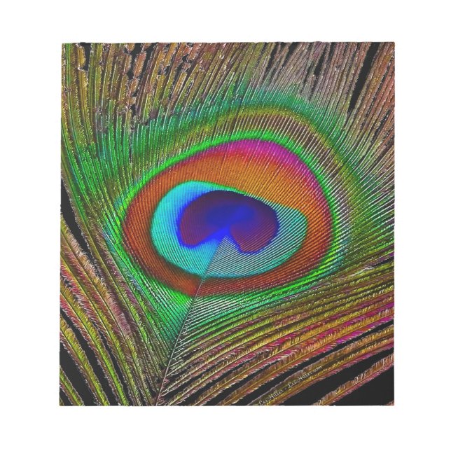 Bloc De Notas Vibrante pluma de cobre para pavo real (Frente)