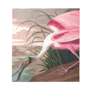 Bloc De Notas Vida silvestre de los pájaros roseados Spoonbill A