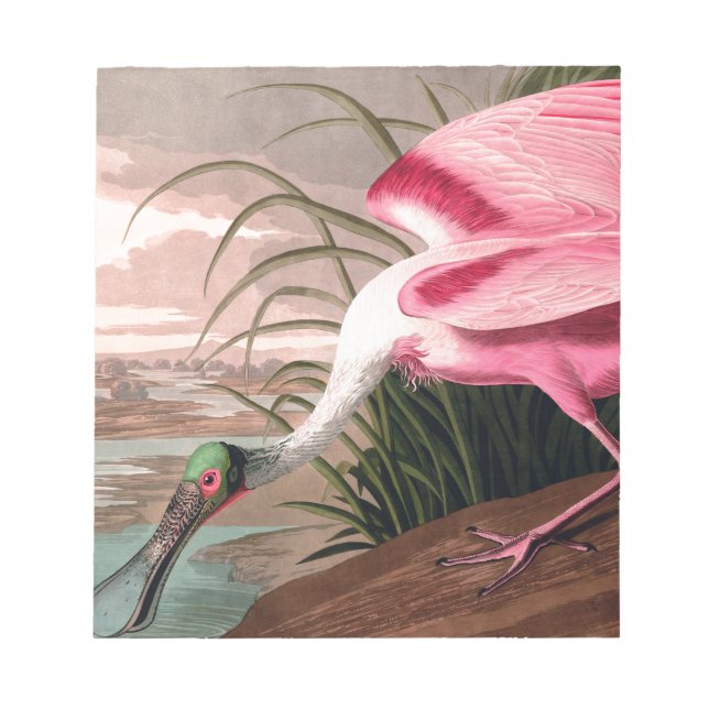 Bloc De Notas Vida silvestre de los pájaros roseados Spoonbill A (Frente)